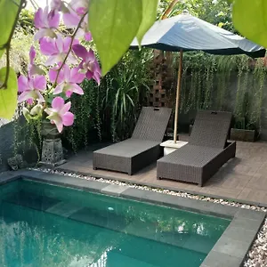 D'puja And Accommodatie bij particulieren